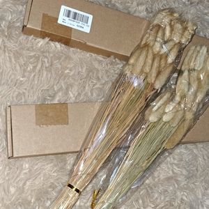 2 packs of dried bunny tails